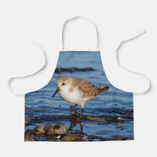 Delantal Cute Sanderling Sandpiper Wanders Wintry Shores