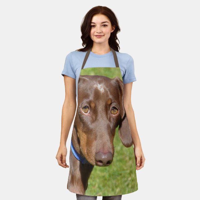 Delantal Dachshund (Gastado)