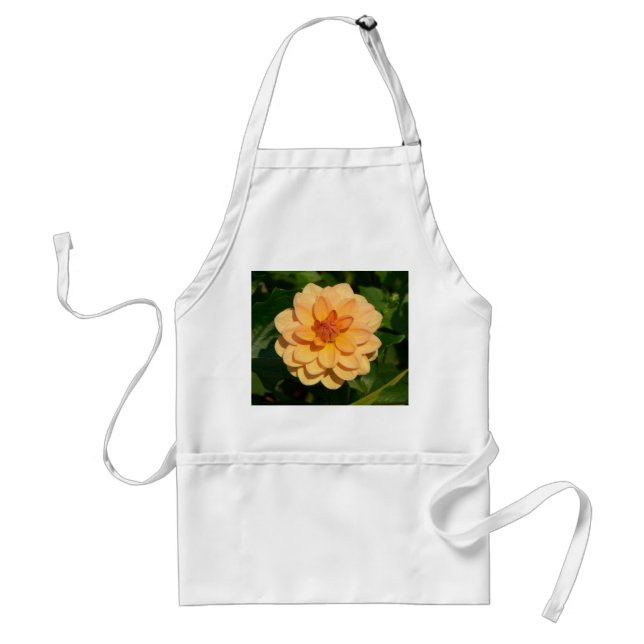 Delantal Dahlia 'David Howard (Frente)