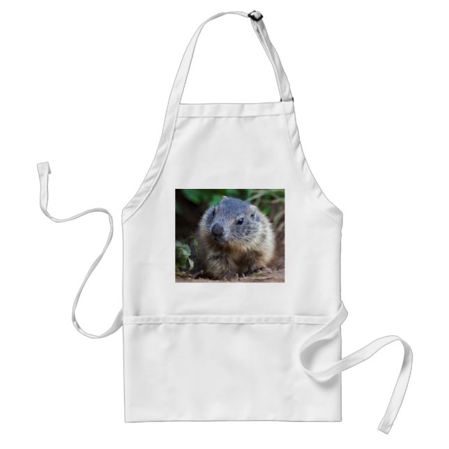Delantal de bebé marmota curioso (Frente)
