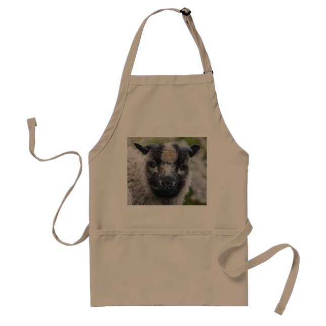 Delantal de Lambster (Frente)