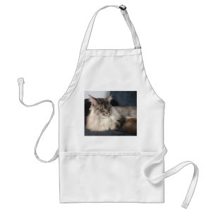 Delantal del gato de Coon de Maine