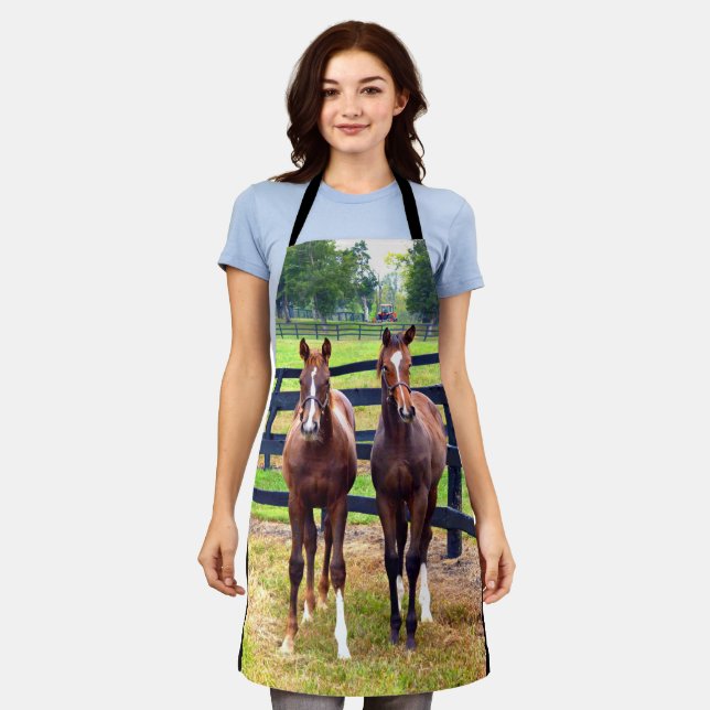 Delantal Dos amigos (Gastado)