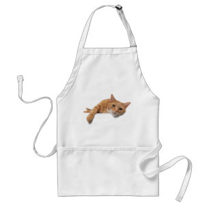 Delantal El gato del Naranja está caído