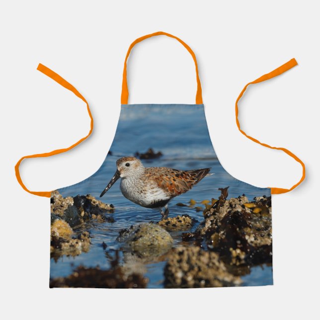 Delantal El hermoso Dunlin Sandpiper se va solo en la playa (Anverso)