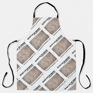 Delantal El Mapa No Es El Territorio Planisferio De Salviat