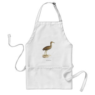 Delantal El pájaro Bittern estadounidense (Botaurus lentigi