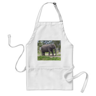 Delantal Elefante en el camino de una pradera iluminada por