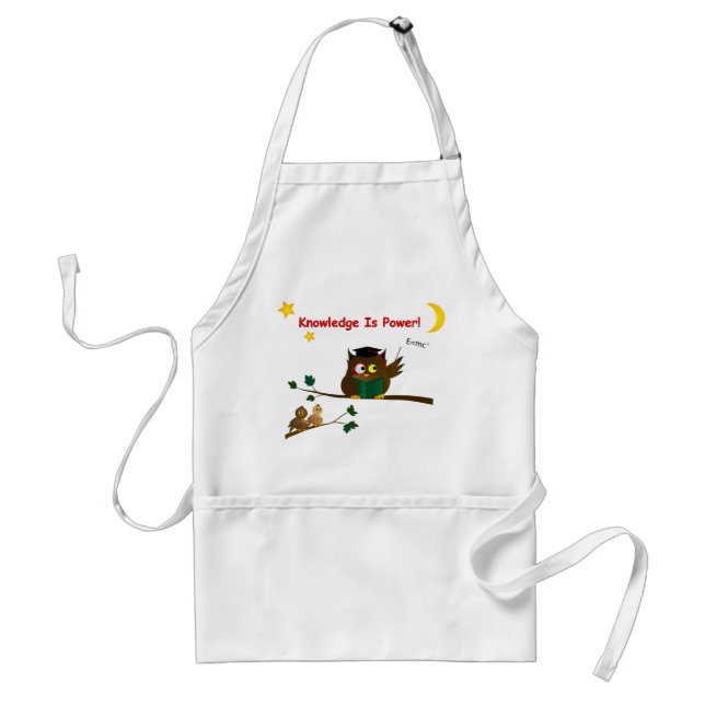 Delantal Enseñando a sabia búho (Frente)
