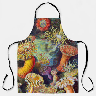 Delantal Ernst Haeckel Sea Anemones Marine:Actiniae