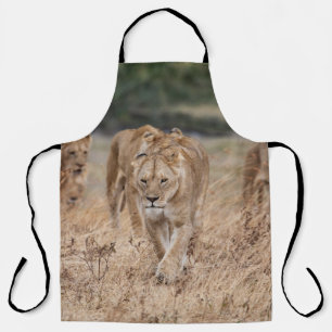 DELANTAL ESTOS ANIMALES NO PARECIERON QUE ESE MIEDO SE PROD