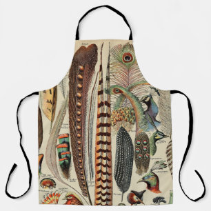 Delantal Feather Bird Wildlife Antigüedades Feathers