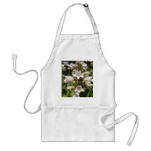 Flor Blanca