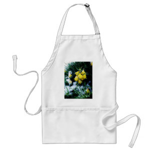Delantal Flores de los Daffodils amarillos en la nieve