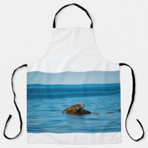 Foca de puerto atlántico