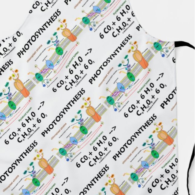 Delantal Fórmula química de cloroplasto de fotosíntesis (Showcase your photosynthetic style with this scientific apron featuring light-dependent reactions!)