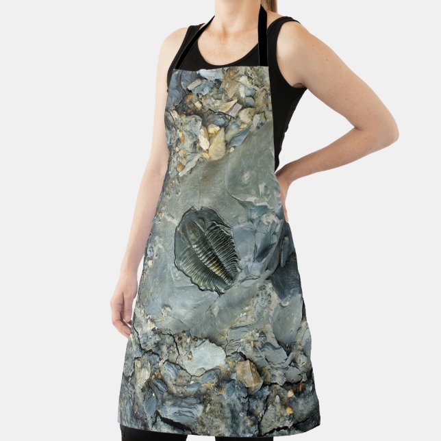 Delantal Fósil (in situ)