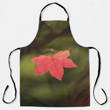 Foto de la naturaleza de la hoja de arce