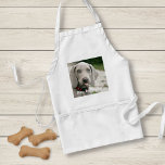 Delantal Foto de perro y nombre de perro de Weimaraner pers<br><div class="desc">El diseño personalizado de Weimaraner Dog Photo y Weimaraner Dog Name incluye una foto subida de tu Weimaraner (o cualquier foto) con el nombre del perro o agrega tu propio texto - Nos encanta el "nombre del perro", el cumpleaños del perro o el día de su muerte. Simplemente haga clic...</div>