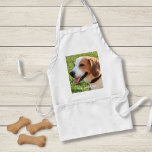Delantal Foto personalizada de perro de Beagle y nombre de<br><div class="desc">Diseño personalizado de foto de perro y nombre de perro Beagle - personalizar este botón con una foto subida de tu Beagle el nombre del perro o agrega tu propio texto - Nos encanta el "nombre del perro", el cumpleaños del perro o el día de su muerte. Simplemente haga clic...</div>