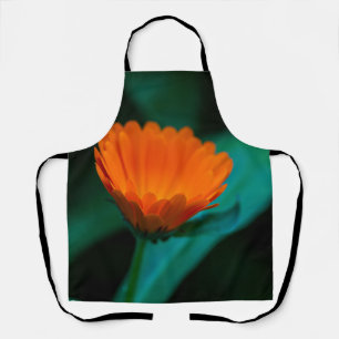 Delantal Fotografía de Flor de Margarita Naranja
