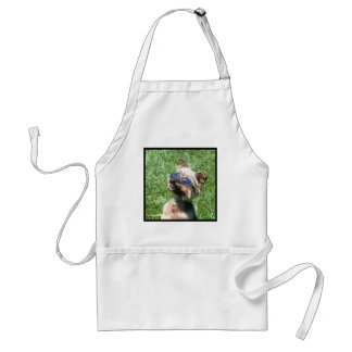 Delantal fresco de Yorkshire Terrier