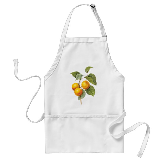 Delantal Fruta de la comida de la cosecha, Apricot Peach by (Frente)
