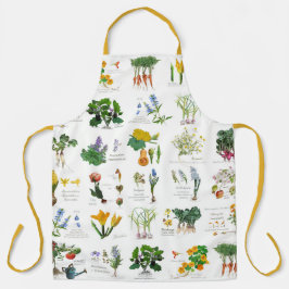 Delantal Gardener's harvest and cooking apron.