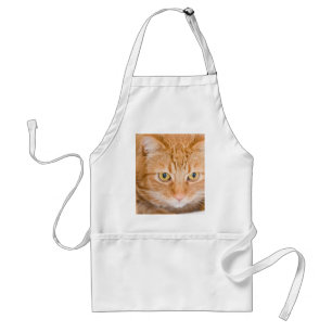 Delantal Gato anaranjado