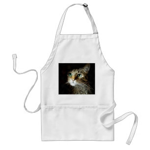 Delantal Gato De Tabby Con Ojos Verdes Aislados En Negro
