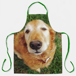 Delantal Golden Retriever