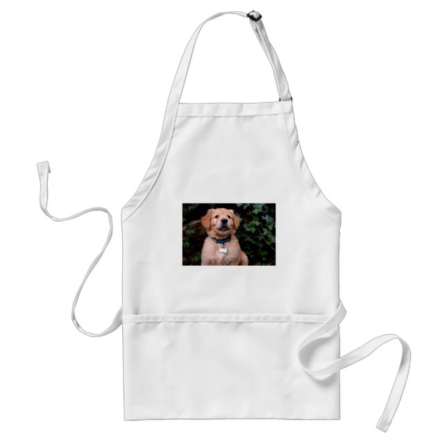 Delantal Golden Retriever Puppy (Frente)