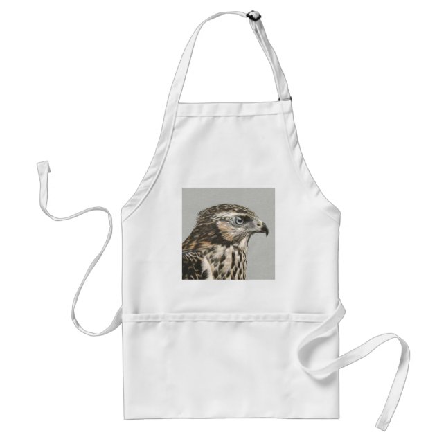 Delantal Goshawk inmaduro (Frente)