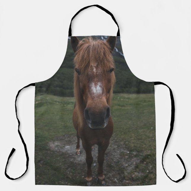 DELANTAL HOLA SOY UN CABALLO (Anverso)