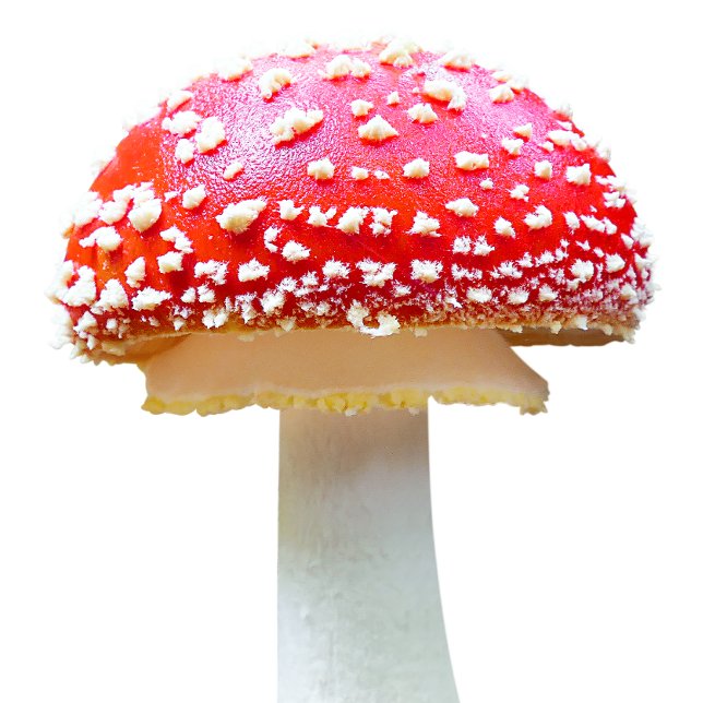 Delantal Hongos (Subido por el creador)