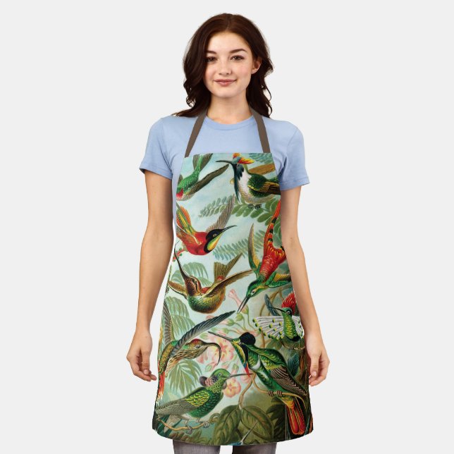 Delantal Hummingbirds por Ernst Haeckel   (Gastado)