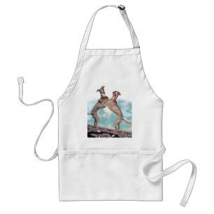 Delantal IGinfrequentFlier