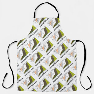 Delantal Igneous Es Humor Geológico De Contenido De Sílice 