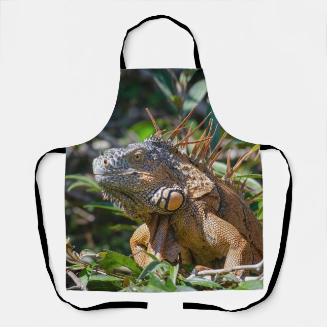 Delantal Iguana naranja, Belice Lizard (Anverso)