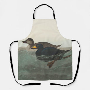 Delantal Impresión de Negrón Americano de Audubon: Pato Cos