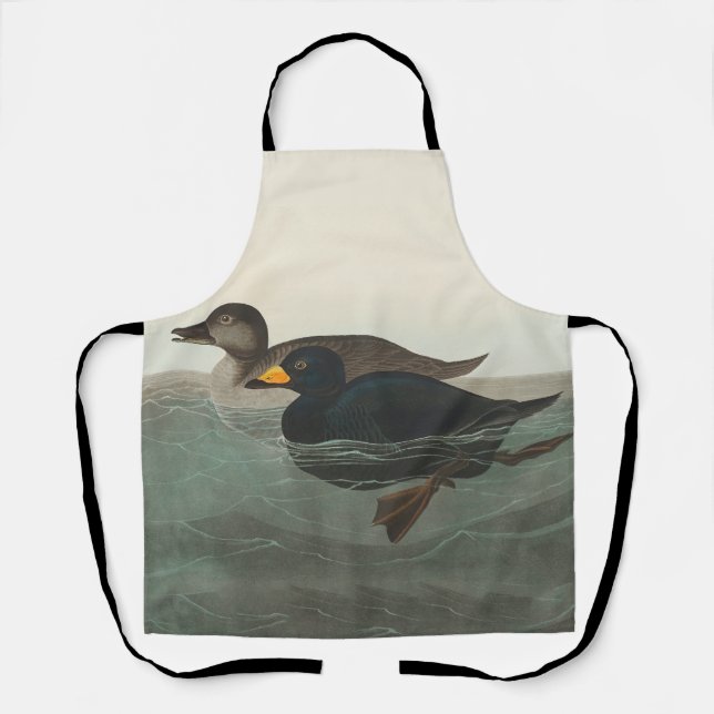 Delantal Impresión de Negrón Americano de Audubon: Pato Cos (Anverso)