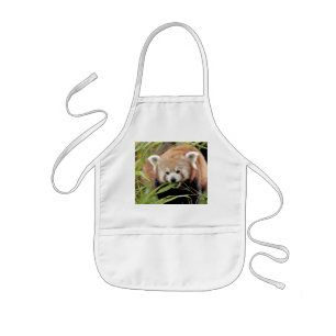 Delantal Infantil Apron Photo red panda , animals 0109.