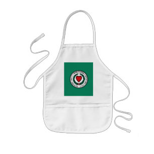 Delantal Infantil Bandera de Worcester, Massachusetts 