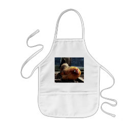 Delantal Infantil pollo naranja