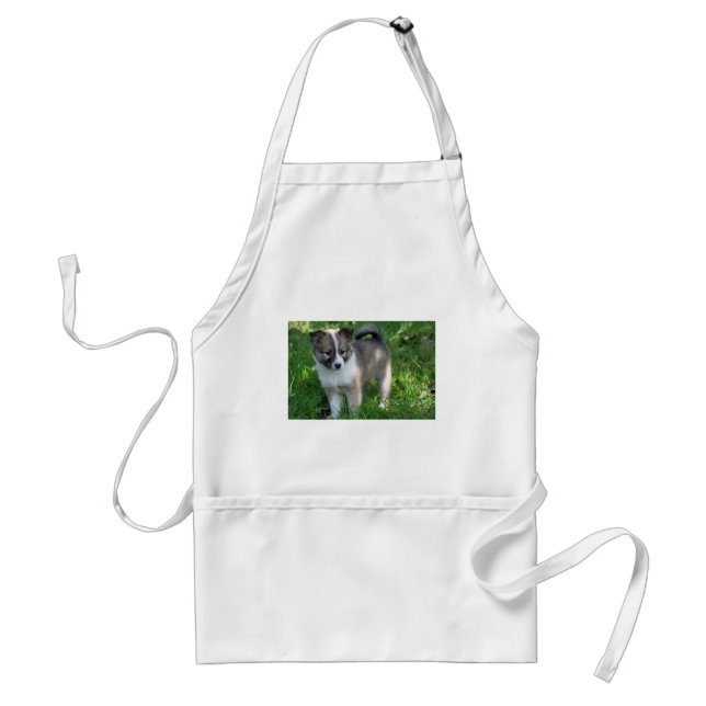 Delantal Islandhund (Frente)