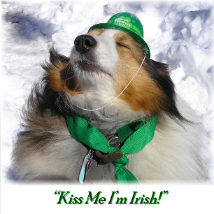 Delantal ¡Kiss M e I'm Irish! Apron adulto