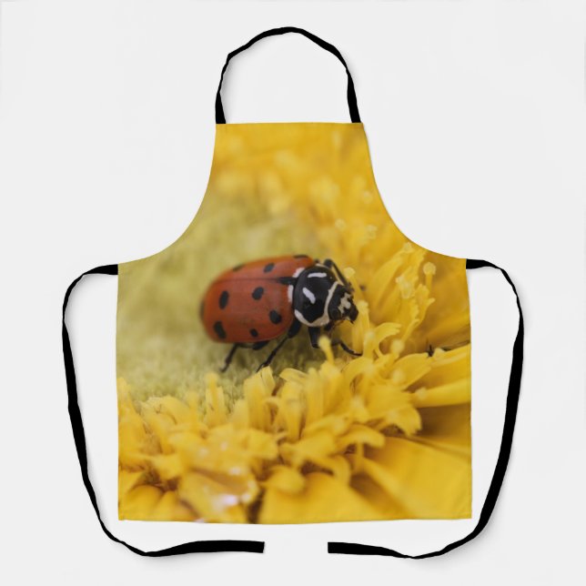 Delantal Lady bug (Anverso)
