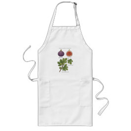 Delantal Largo Planche Botanique Figue Ficus Carica 