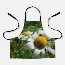 Delantal Lieveheersbeestje op margriet in de natuur.