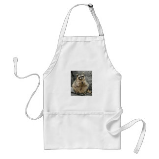 Delantal lindo_divertido_Animales_35 RACCOON Sentado de ora